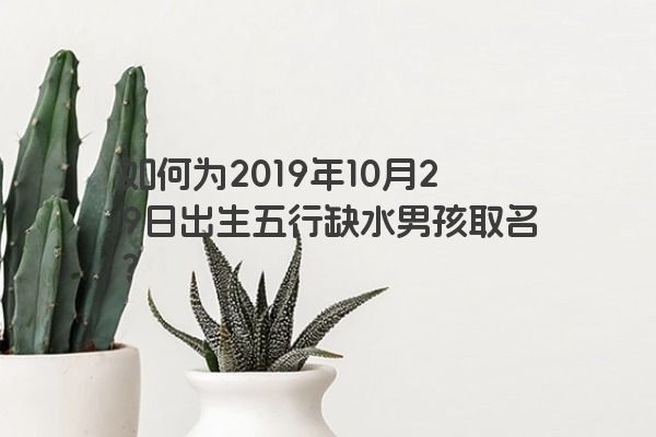 如何为2019年10月29日出生五行缺水男孩取名？