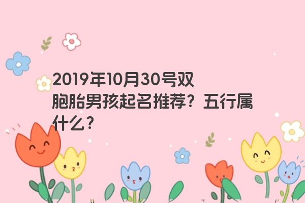 2019年10月30号双胞胎男孩起名推荐？五行属什么？