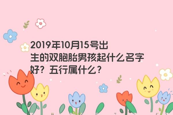 2019年10月15号出生的双胞胎男孩起什么名字好？五行属什么？