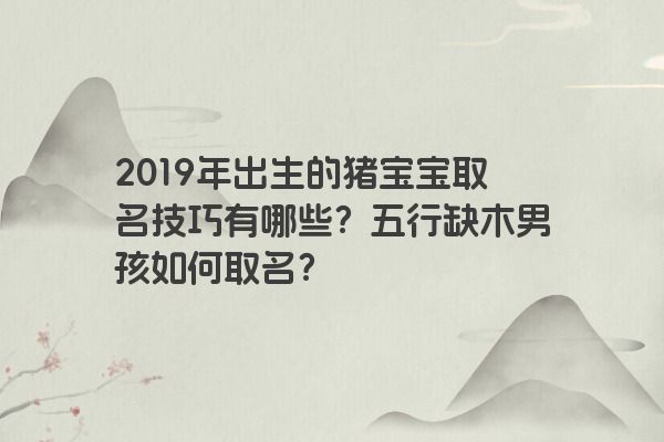 2019年出生的猪宝宝取名技巧有哪些？五行缺木男孩如何取名？