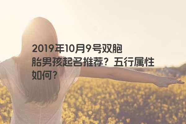 2019年10月9号双胞胎男孩起名推荐？五行属性如何？