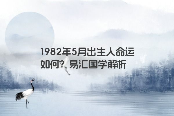 1982年5月出生人命运如何？易汇国学解析