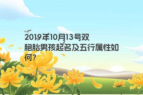 2019年10月13号双胞胎男孩起名及五行属性如何？