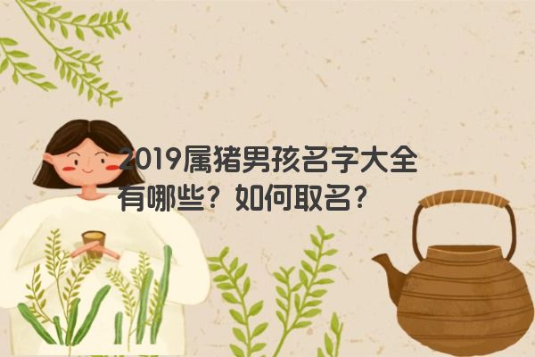 2019属猪男孩名字大全有哪些？如何取名？