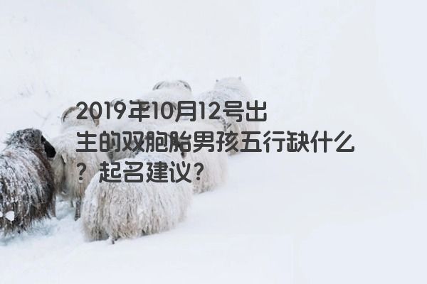 2019年10月12号出生的双胞胎男孩五行缺什么？起名建议？