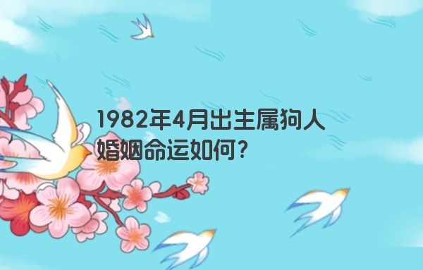 1982年4月出生属狗人婚姻命运如何？