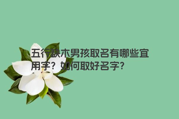 五行缺木男孩取名有哪些宜用字？如何取好名字？