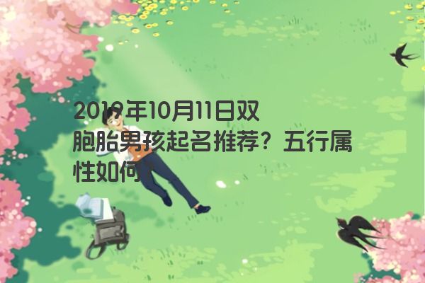 2019年10月11日双胞胎男孩起名推荐？五行属性如何？