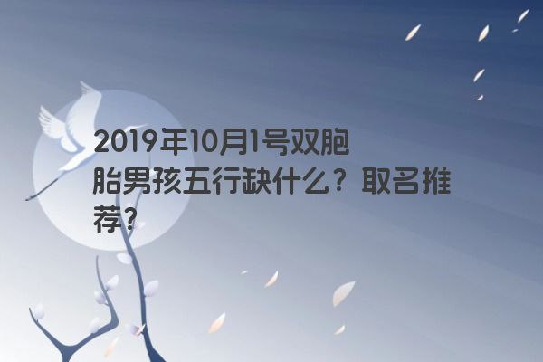 2019年10月1号双胞胎男孩五行缺什么？取名推荐？