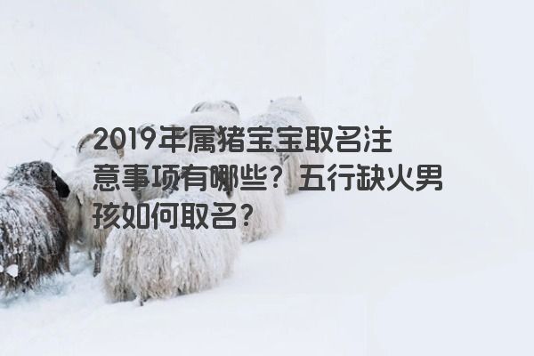 2019年属猪宝宝取名注意事项有哪些？五行缺火男孩如何取名？