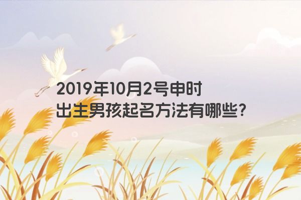 2019年10月2号申时出生男孩起名方法有哪些？