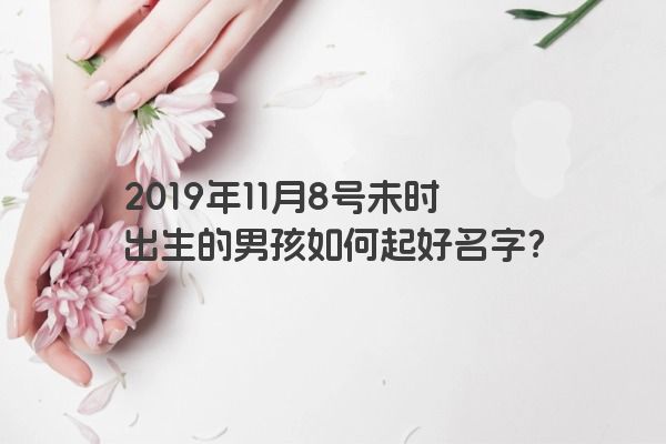 2019年11月8号未时出生的男孩如何起好名字？