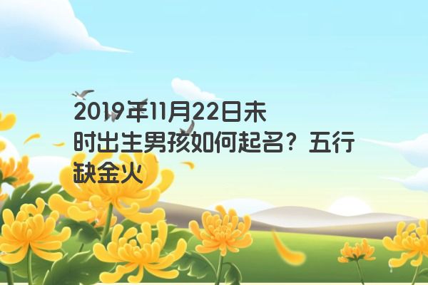 2019年11月22日未时出生男孩如何起名？五行缺金火