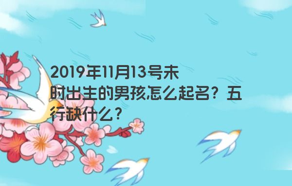 2019年11月13号未时出生的男孩怎么起名？五行缺什么？