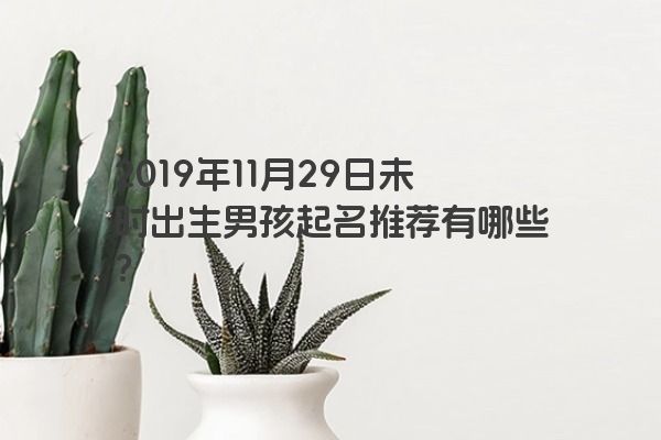 2019年11月29日未时出生男孩起名推荐有哪些？