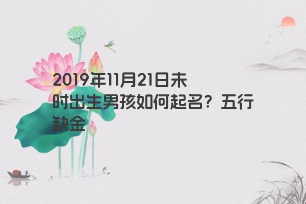 2019年11月21日未时出生男孩如何起名？五行缺金