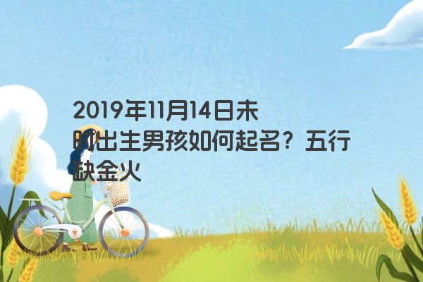 2019年11月14日未时出生男孩如何起名？五行缺金火