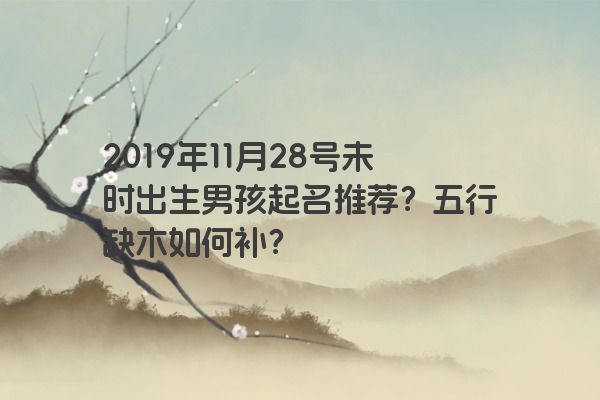 2019年11月28号未时出生男孩起名推荐？五行缺木如何补？