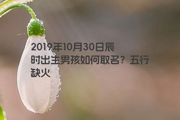 2019年10月30日辰时出生男孩如何取名？五行缺火