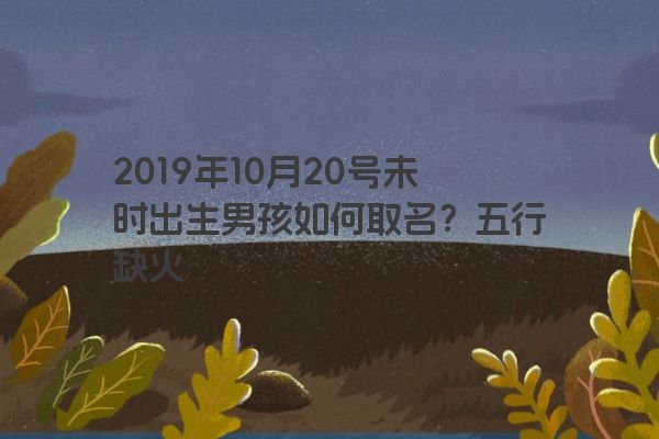 2019年10月20号未时出生男孩如何取名？五行缺火