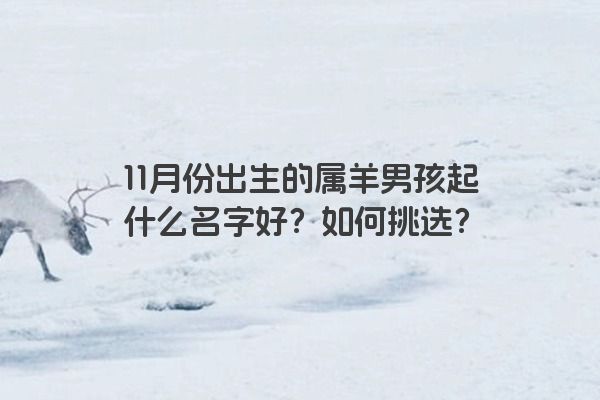 11月份出生的属羊男孩起什么名字好？如何挑选？