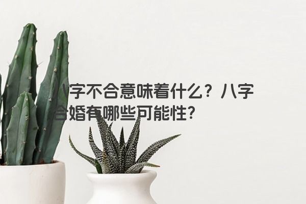 八字不合意味着什么？八字合婚有哪些可能性？