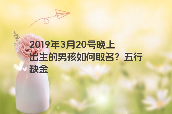 2019年3月20号晚上出生的男孩如何取名？五行缺金