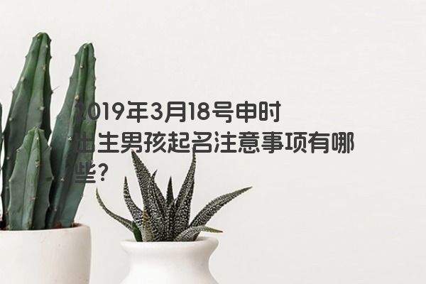 2019年3月18号申时出生男孩起名注意事项有哪些？