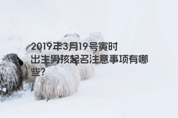 2019年3月19号寅时出生男孩起名注意事项有哪些？