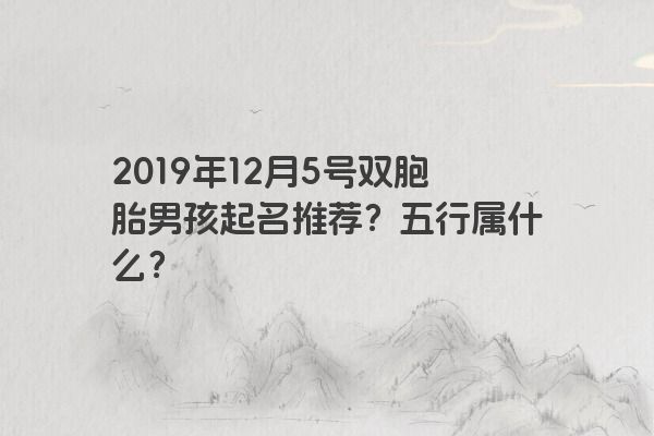 2019年12月5号双胞胎男孩起名推荐？五行属什么？