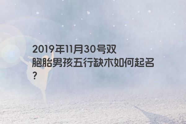 2019年11月30号双胞胎男孩五行缺木如何起名？