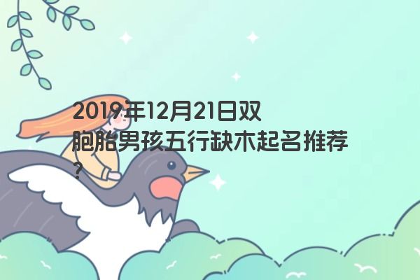 2019年12月21日双胞胎男孩五行缺木起名推荐？