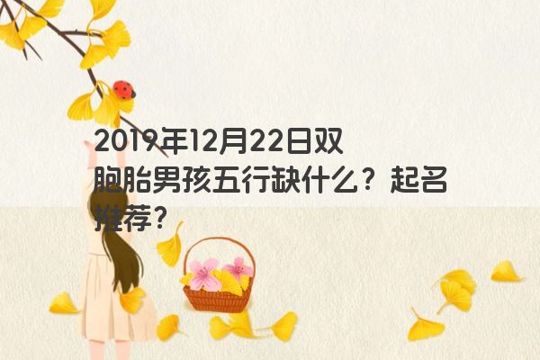 2019年12月22日双胞胎男孩五行缺什么？起名推荐？