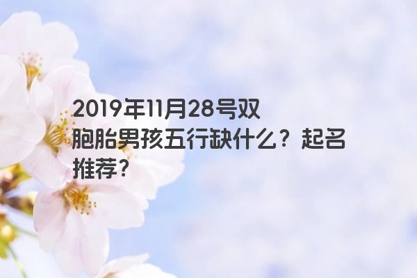 2019年11月28号双胞胎男孩五行缺什么？起名推荐？