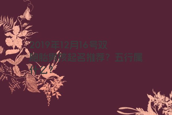 2019年12月16号双胞胎男孩起名推荐？五行属什么？
