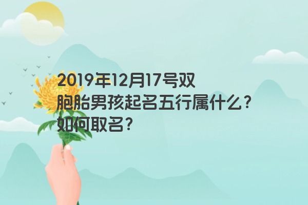 2019年12月17号双胞胎男孩起名五行属什么？如何取名？