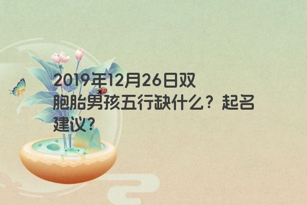 2019年12月26日双胞胎男孩五行缺什么？起名建议？