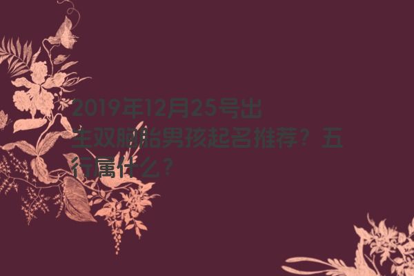 2019年12月25号出生双胞胎男孩起名推荐？五行属什么？