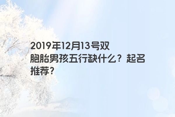 2019年12月13号双胞胎男孩五行缺什么？起名推荐？