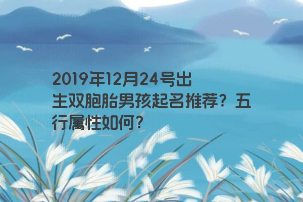 2019年12月24号出生双胞胎男孩起名推荐？五行属性如何？