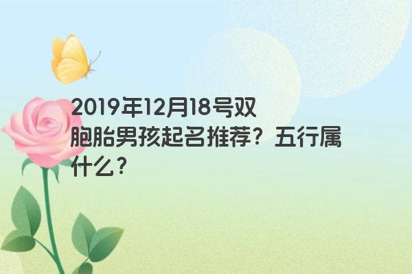 2019年12月18号双胞胎男孩起名推荐？五行属什么？