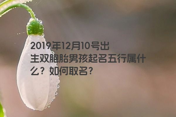 2019年12月10号出生双胞胎男孩起名五行属什么？如何取名？