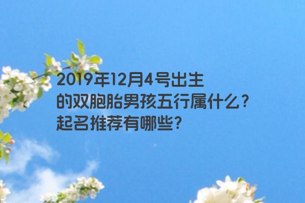 2019年12月4号出生的双胞胎男孩五行属什么？起名推荐有哪些？