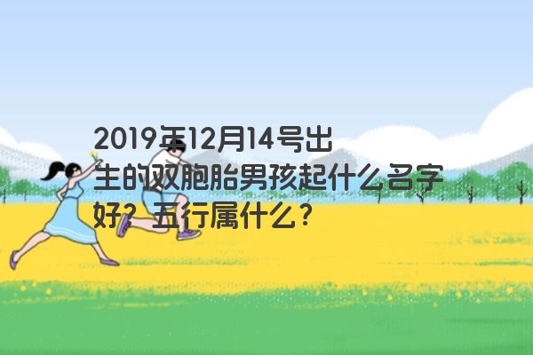 2019年12月14号出生的双胞胎男孩起什么名字好？五行属什么？