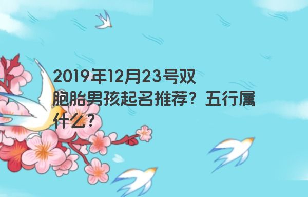 2019年12月23号双胞胎男孩起名推荐？五行属什么？