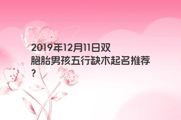 2019年12月11日双胞胎男孩五行缺木起名推荐？