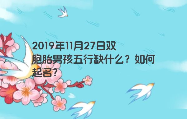 2019年11月27日双胞胎男孩五行缺什么？如何起名？