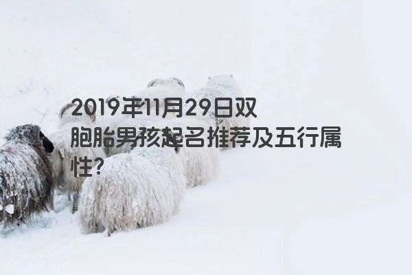 2019年11月29日双胞胎男孩起名推荐及五行属性？