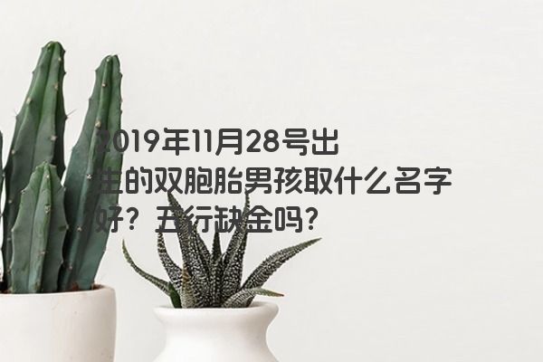 2019年11月28号出生的双胞胎男孩取什么名字好？五行缺金吗？