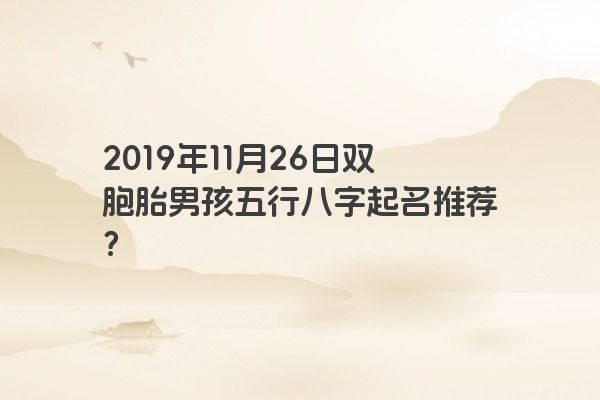 2019年11月26日双胞胎男孩五行八字起名推荐？